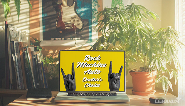 Гроурепорт сорта Rock Machine Auto